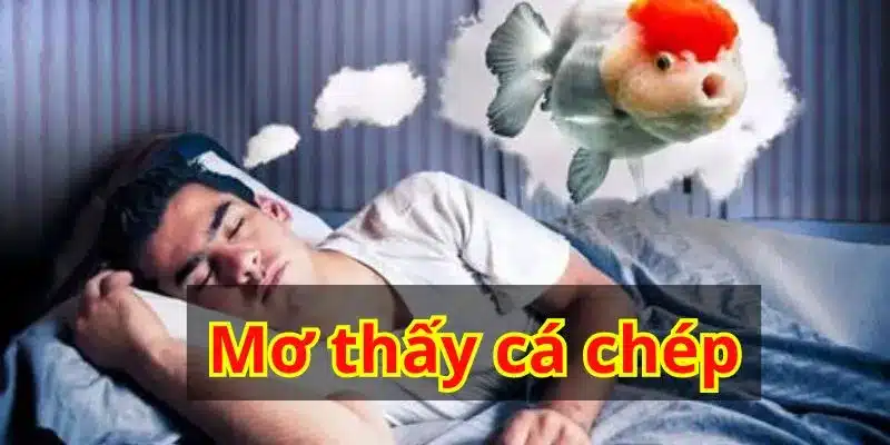 Mơ thấy cá chép